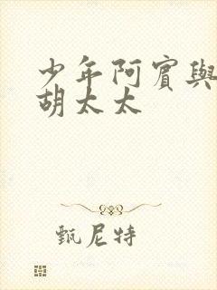 少年阿宾与房东胡太太封面