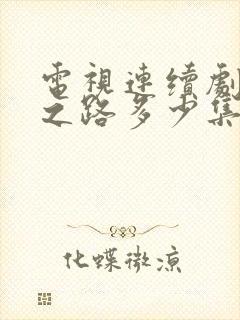 电视连续剧人生之路多少集