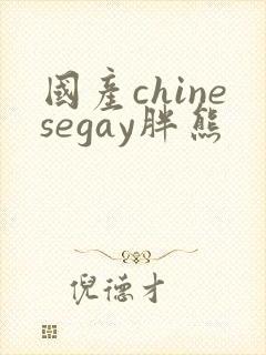 国产chinesegay胖熊