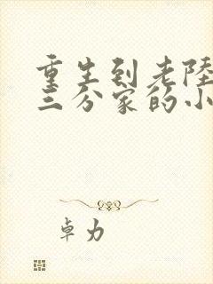 重生到老陆家老三分家的小说