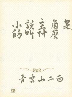 小说主角是陈也的叫什么