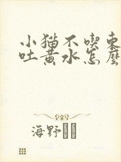 小猫不吃东西还吐黄水怎么办