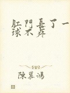 肛门长了一个肉球不疼