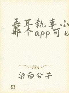 垂耳执事小说在哪个app可以看