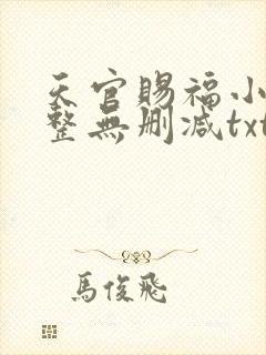 天官赐福小说完整无删减txt