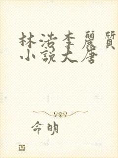 林浩李丽质穿越小说大唐