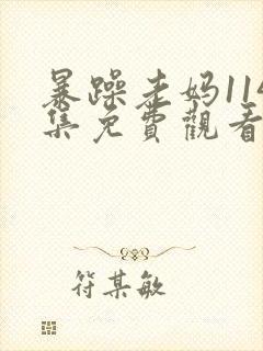 暴躁老妈114集免费观看电视剧