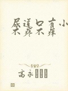 尿道口有小颗粒不疼不痒