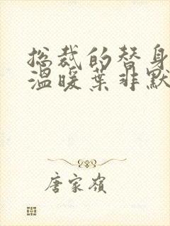 总裁的替身前妻温暖叶非默