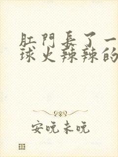 肛门长了一个肉球火辣辣的疼