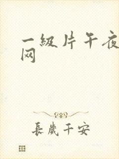 一级片午夜电影网封面