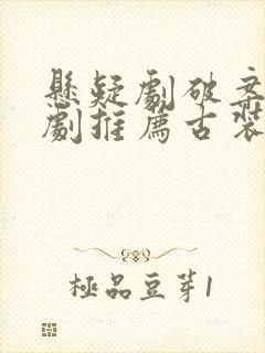 悬疑剧破案电视剧推荐古装