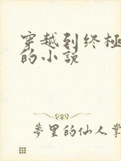 穿越到终极斗罗的小说