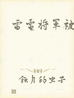 雷电将军被人