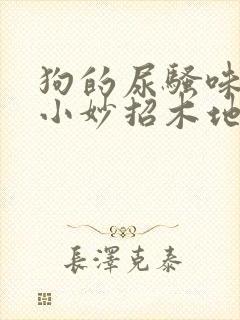 狗的尿骚味去除小妙招木地板