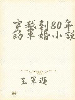 穿越到80年代的军婚小说封面