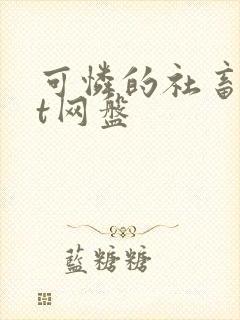 可怜的社畜txt网盘封面