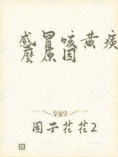 感冒咳黄痰是什么原因