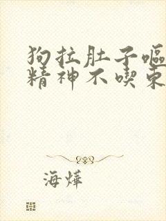 狗拉肚子呕吐没精神不吃东西咋办