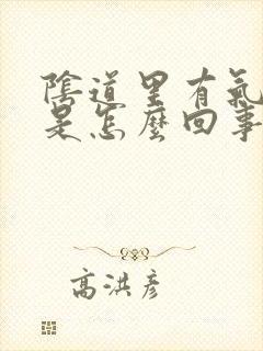 阴道里有气排出是怎么回事