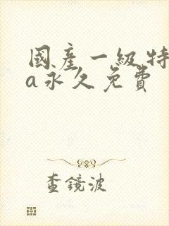 国产一级特黄aa永久免费