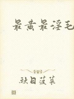 最黄最淫毛片封面