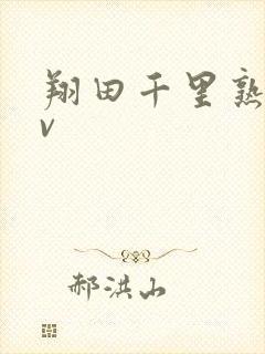 翔田千里熟女av封面