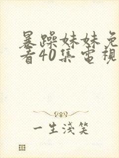 暴躁妹妹免费观看40集电视剧大全封面