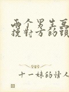 两个男生互相互摸对方的头发封面