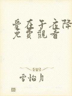 爱在午夜降临前免费观看