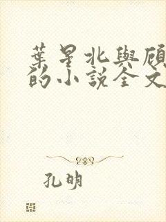 叶星北与顾君逐的小说全文免费