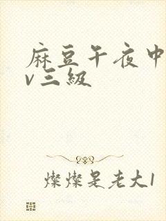 麻豆午夜中文av三级