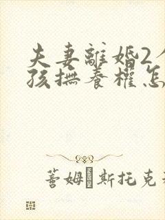 夫妻离婚2个小孩抚养权怎么判封面