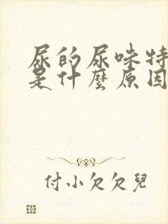 尿的尿味特别大是什么原因