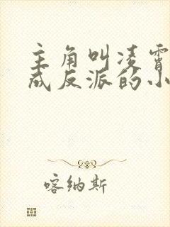 主角叫凌霄穿越成反派的小说