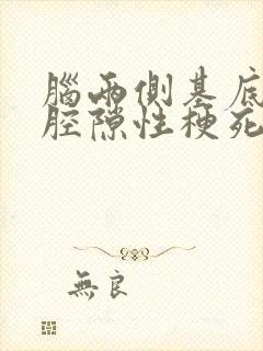 脑两侧基底节区腔隙性梗死