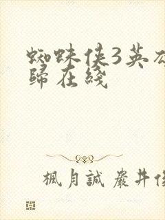 蜘蛛侠3英雄无归在线封面