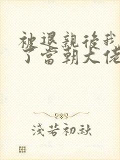 被退亲后我嫁给了当朝大佬 小说