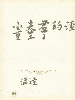 小夫君的渣攻他重生了封面