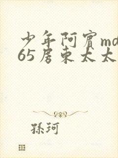 少年阿宾md165房东太太封面