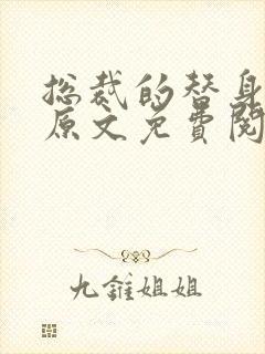 总裁的替身前妻原文免费阅读封面