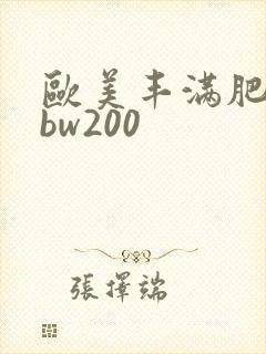 欧美丰满肥妇bbw200