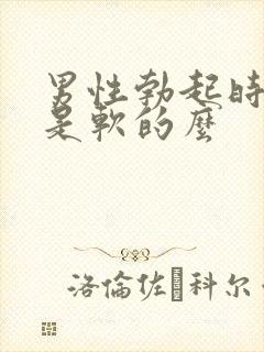 男性勃起时龟头是软的么