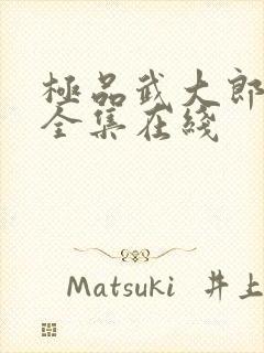 极品武大郎短剧全集在线封面