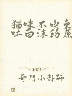 猫咪不吃东西口吐白沫的原因