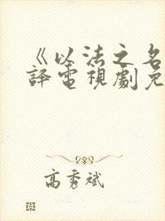 《以法之名》张译电视剧免费观看全部封面