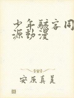 少年骇客同人资源动漫