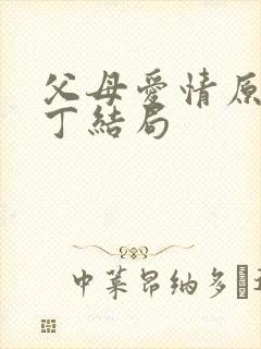 父母爱情原著老丁结局