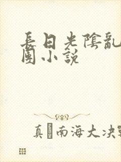 长日光阴乱作一团小说封面