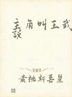 主角叫王武的小说